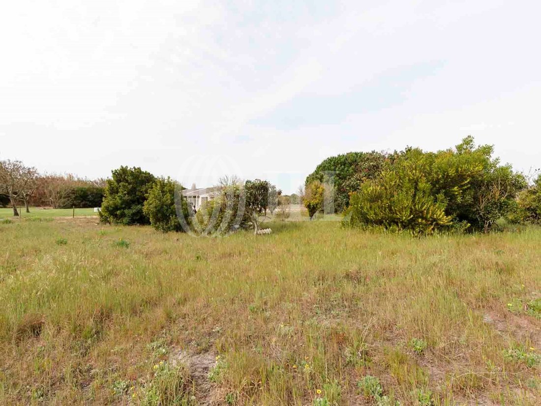Land in Comporta, Setubal, Portugal 5 - 12675095