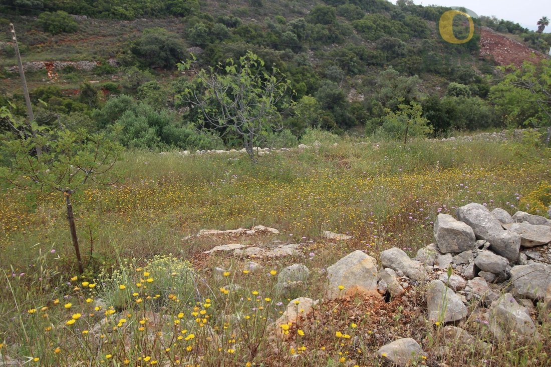 Land in Estoi, Algarve, Portugal 5 - 15711239