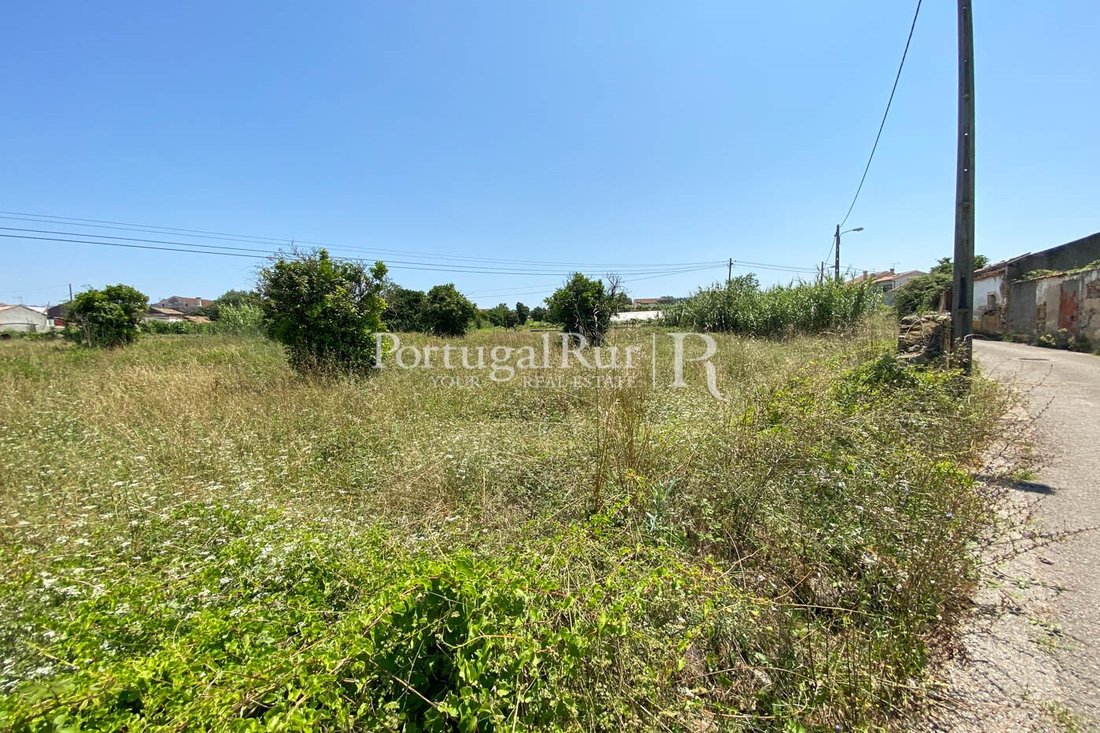 Land in Sao Martinho do Bispo e Ribeira de Frades, Coimbra District, Portugal 3 - 14876564