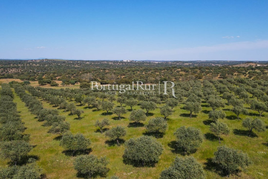 Land in Ervedal, Portalegre District, Portugal 1 - 14952500