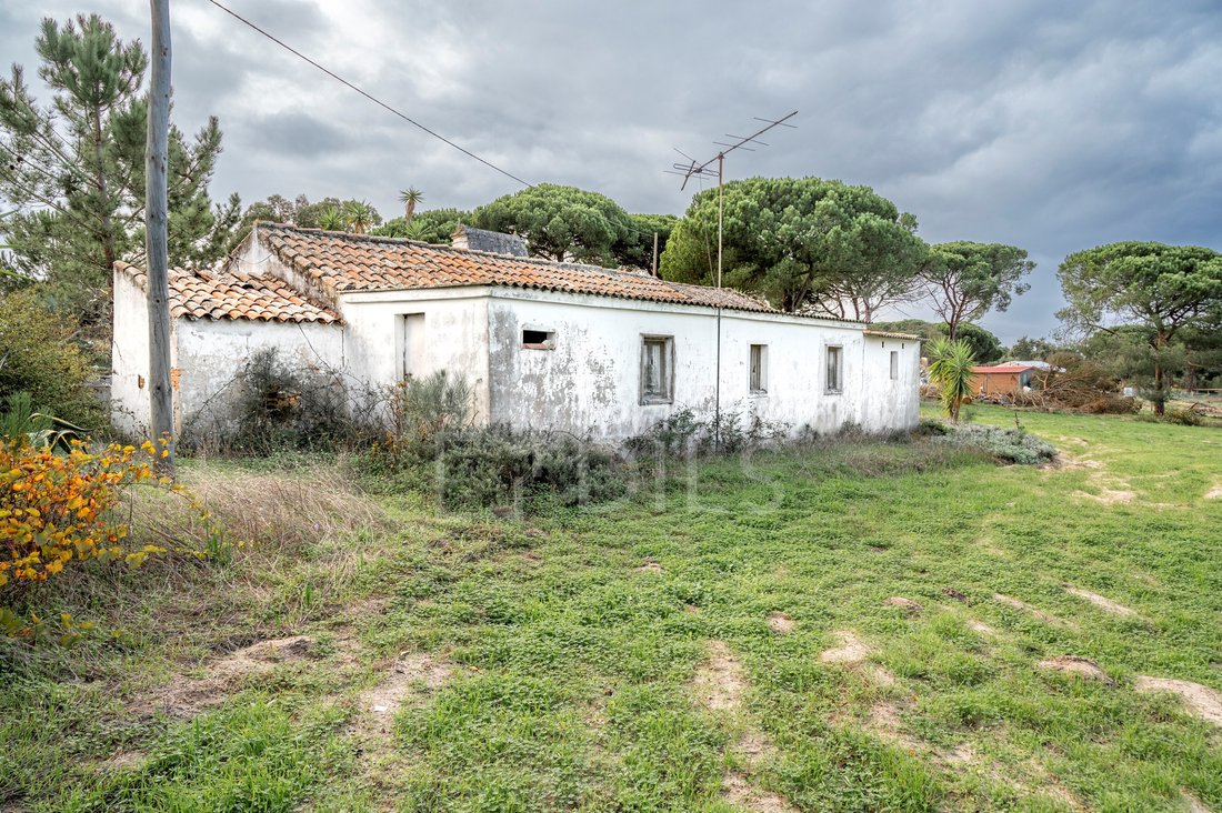 Haus in Melides, Setúbal Municipality, Portugal 4 - 16664526