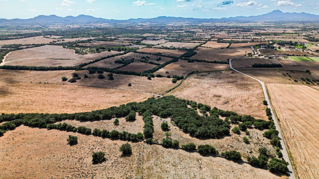 Country House in Manacor, Balearic Islands, Spain 1 - 13131398