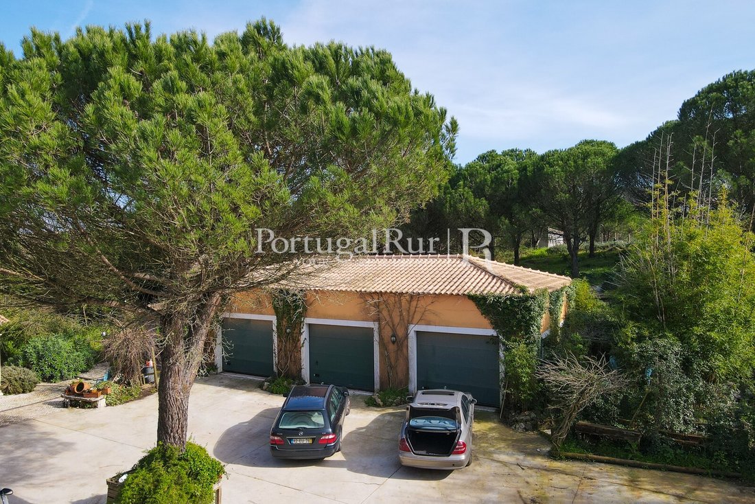 Finca in Salir de Matos, Leiria District, Portugal 4 - 13824080