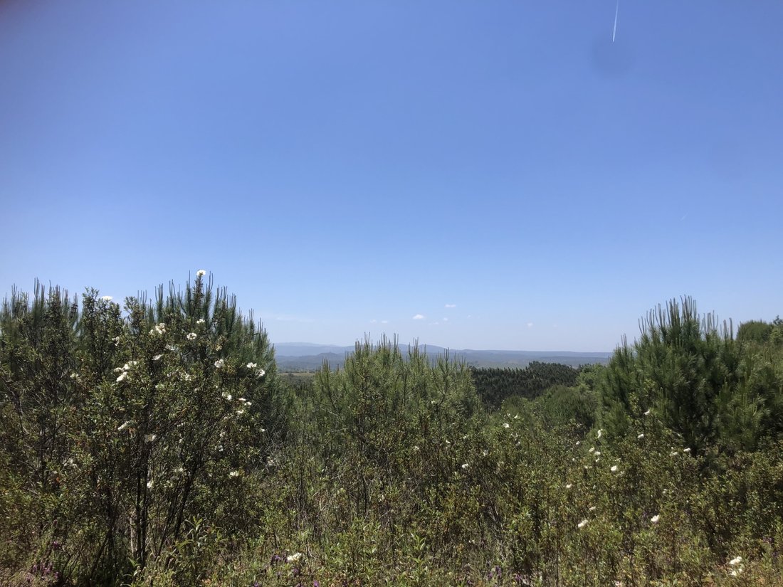 Land in Sao Salvador e Santa Maria, Beja District, Portugal 4 - 16392863
