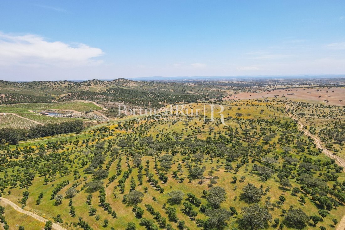 Land in Corval, Évora District, Portugal 1 - 15487088