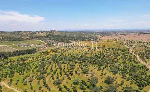 Terreno a Corval, Distretto di Évora, Portogallo 1