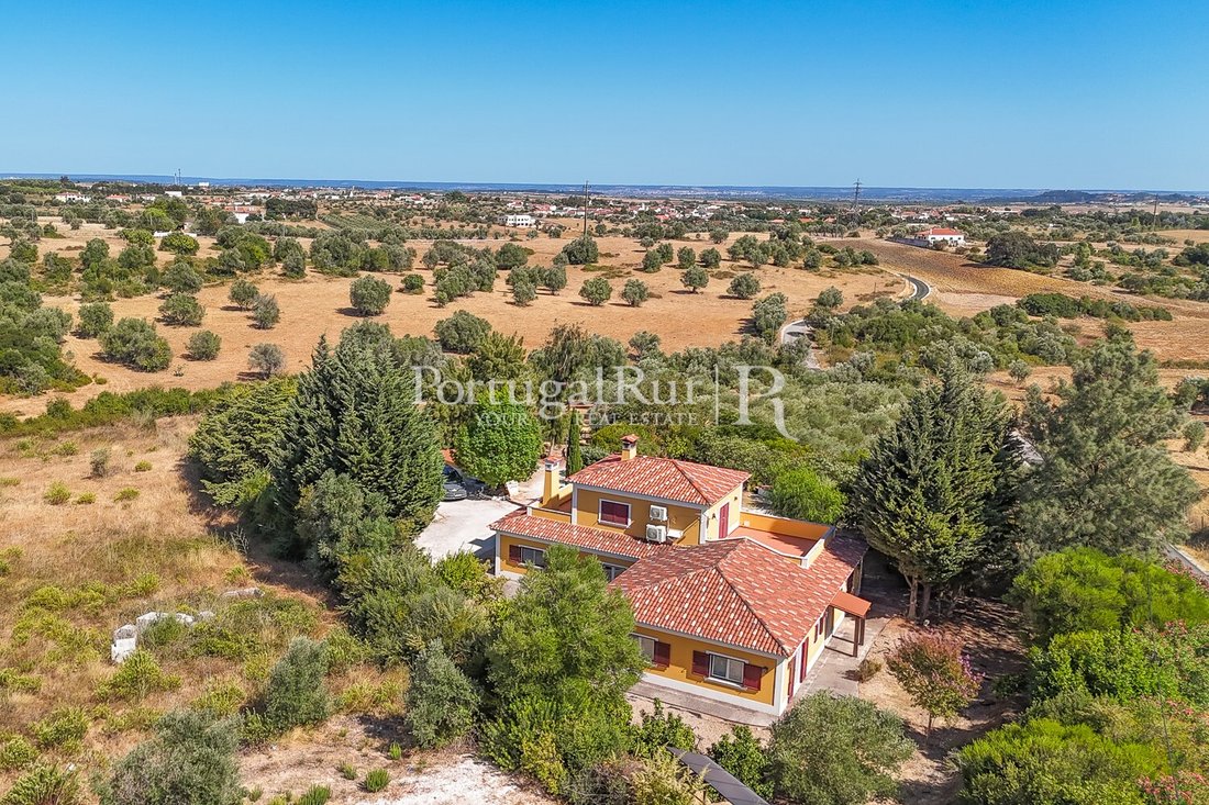 Finca in Romeira e Varzea, Santarem District, Portugal 5 - 16279284