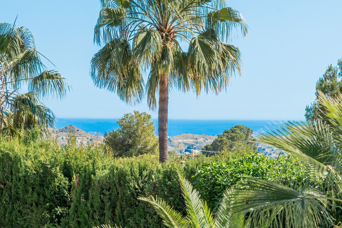 Villa in Busot, Valencian Community, Spain 2 - 15856092