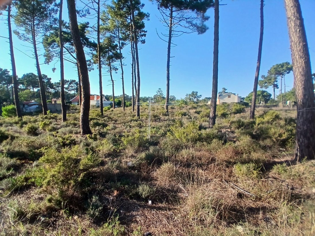 Land in Aroeira, Charneca de Caparica e Sobreda, Portugal 1 - 13039609