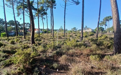 Land in Aroeira, Charneca de Caparica e Sobreda, Portugal 1