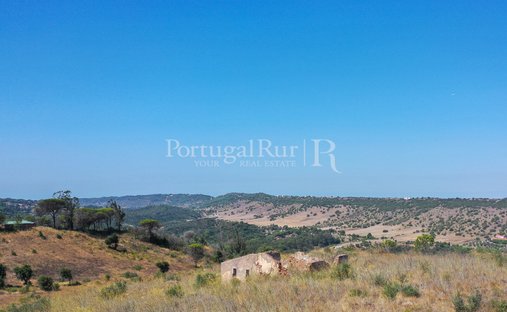 Finca en Palmela, Setúbal Municipality, Portugal 1
