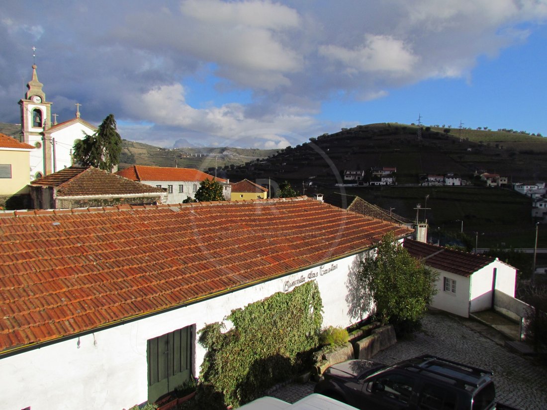 Finca in Lobrigos (Sao Miguel e Sao Joao Baptista) e Sanhoane, Vila Real District, Portugal 3 - 12094743