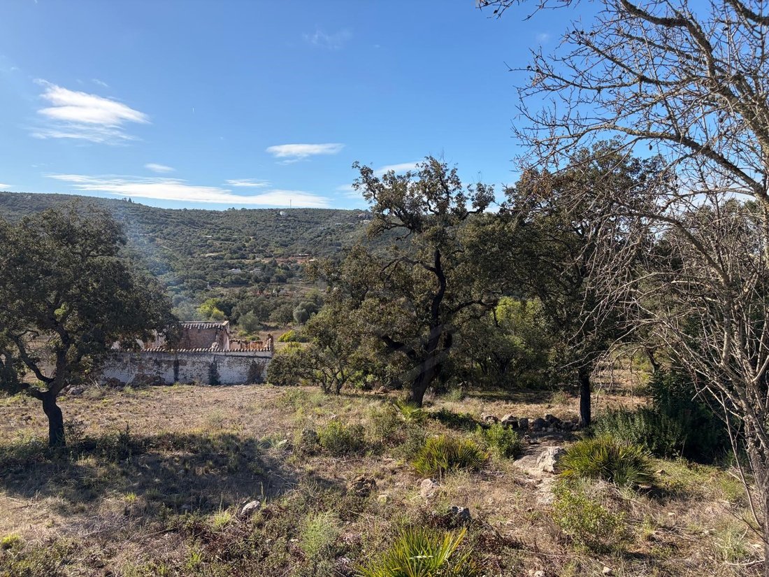 Land in Loule (Sao Clemente), Algarve, Portugal 3 - 16624136