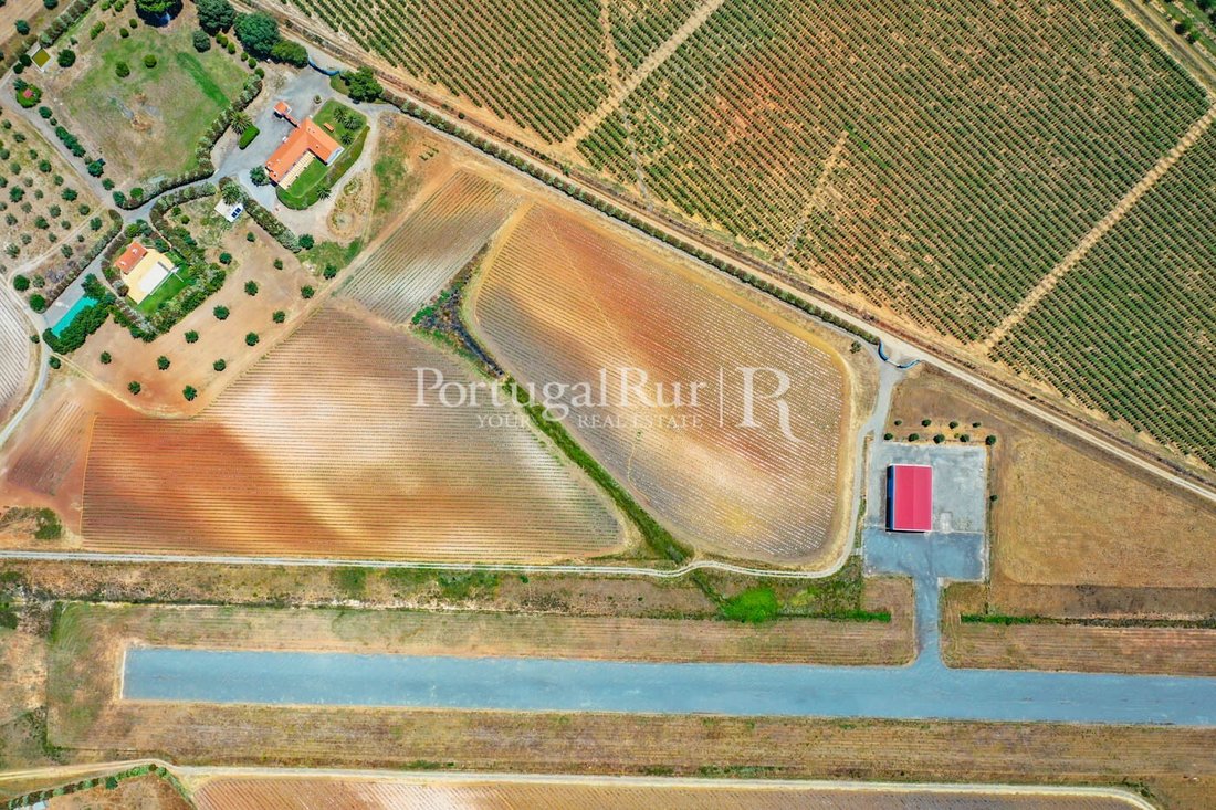 Estate in Ferreira do Alentejo e Canhestros, Beja District, Portugal 2 - 14864336