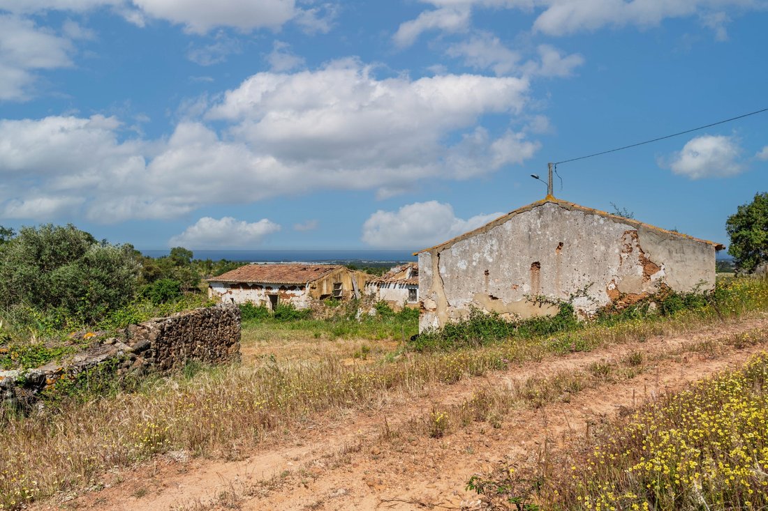 Finca in S.Teotónio, Beja District, Portugal 5 - 16392856