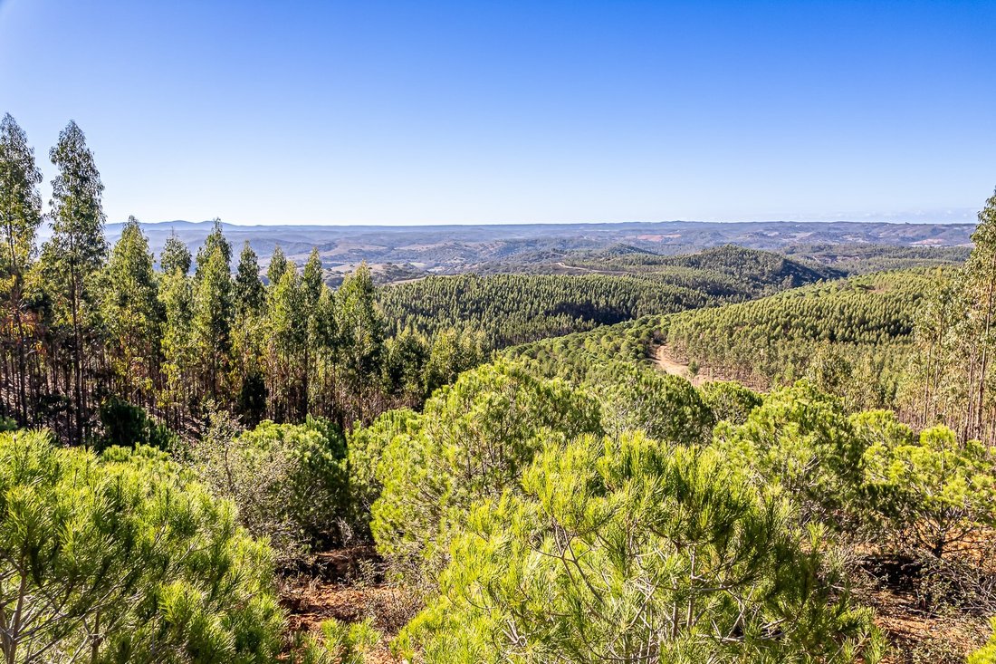 Land in Sao Salvador e Santa Maria, Beja District, Portugal 1 - 15306726