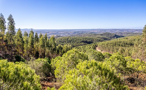 Land in Sao Salvador e Santa Maria, Beja District, Portugal 1