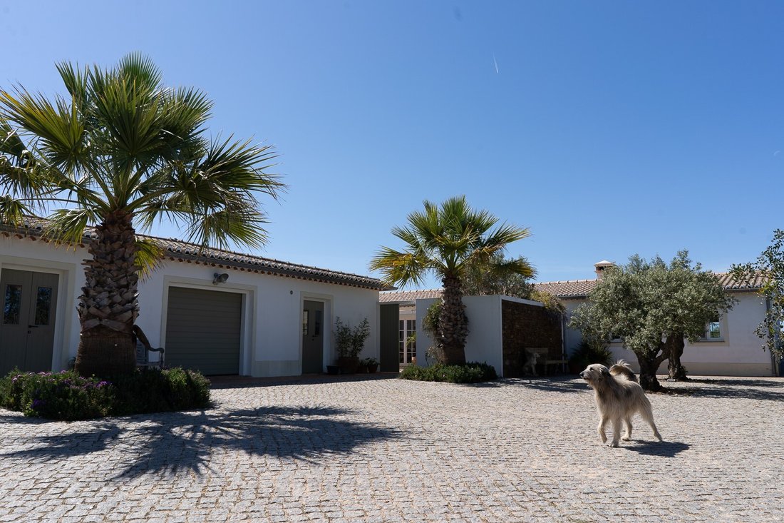 Finca in Bordeira, Algarve, Portugal 5 - 16392763