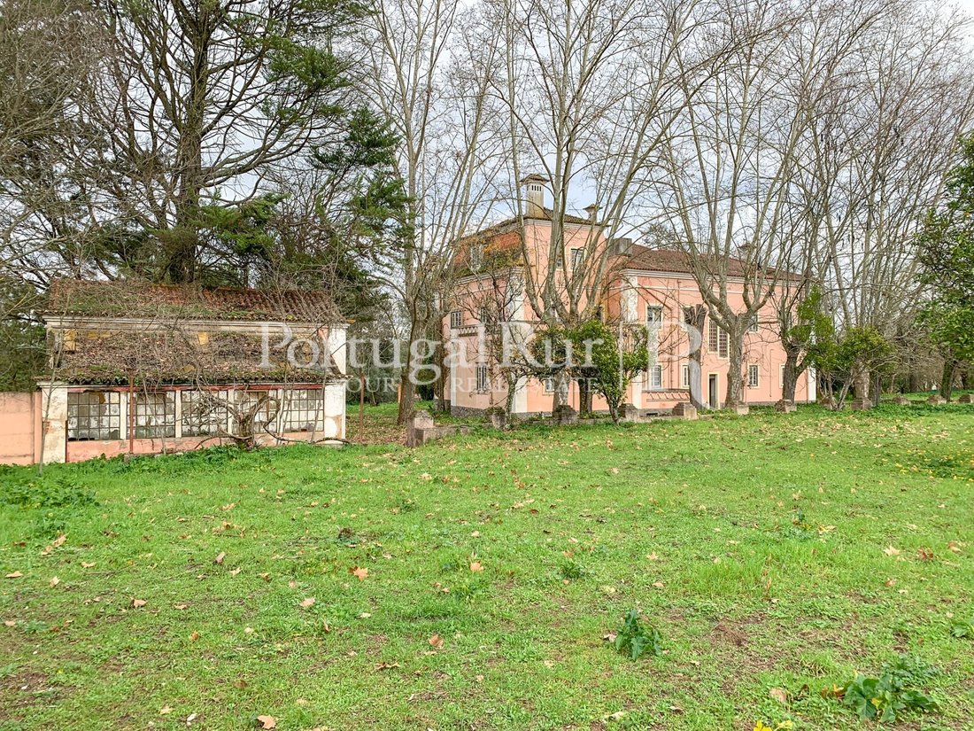 Finca in Abrantes (Sao Vicente e Sao Joao) e Alferrarede, Santarem District, Portugal 5 - 11289441