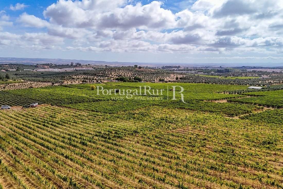 Finca in Nossa Senhora da Conceicao e Sao Bartolomeu, Évora District, Portugal 1 - 16147502
