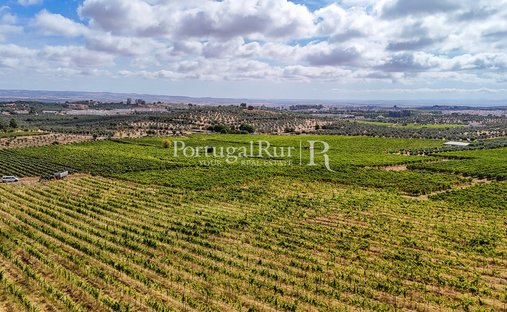 Finca in Nossa Senhora da Conceicao e Sao Bartolomeu, Distrikt Évora, Portugal 1