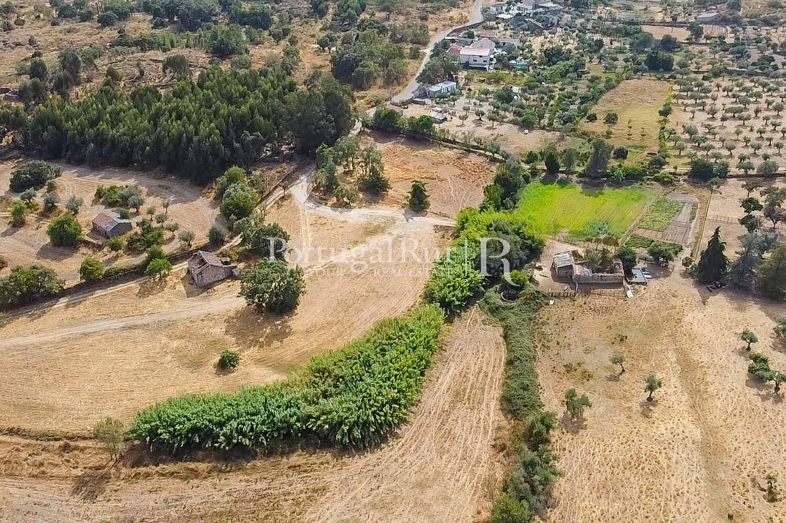 Estate in Castelo Branco, Castelo Branco District, Portugal 2 - 16543263