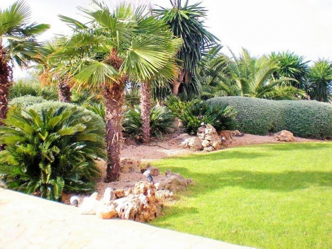 Country House in Petra, Balearic Islands, Spain 2 - 11761712