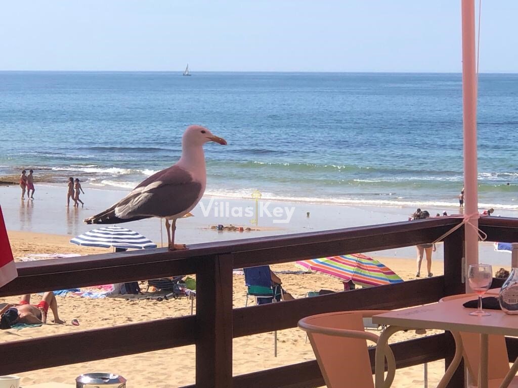 Apartment in Alcantarilha, Algarve, Portugal 4 - 16598576