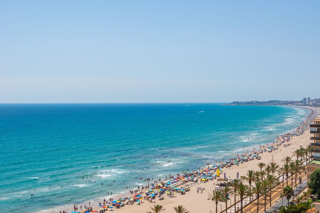Apartment in el Campello, Valencian Community, Spain 1 - 16070832