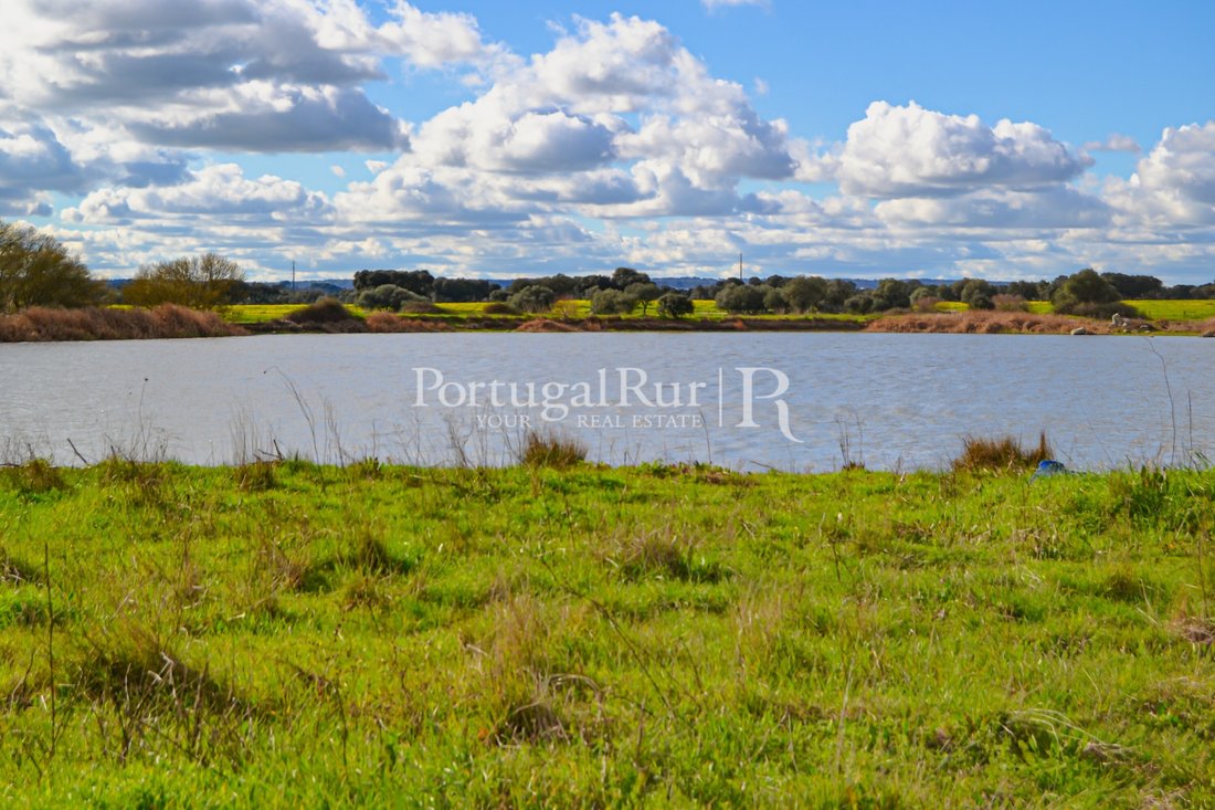 Land in Evora (Sao Mamede, Se, Sao Pedro e Santo Antao), Évora District, Portugal 4 - 12175812