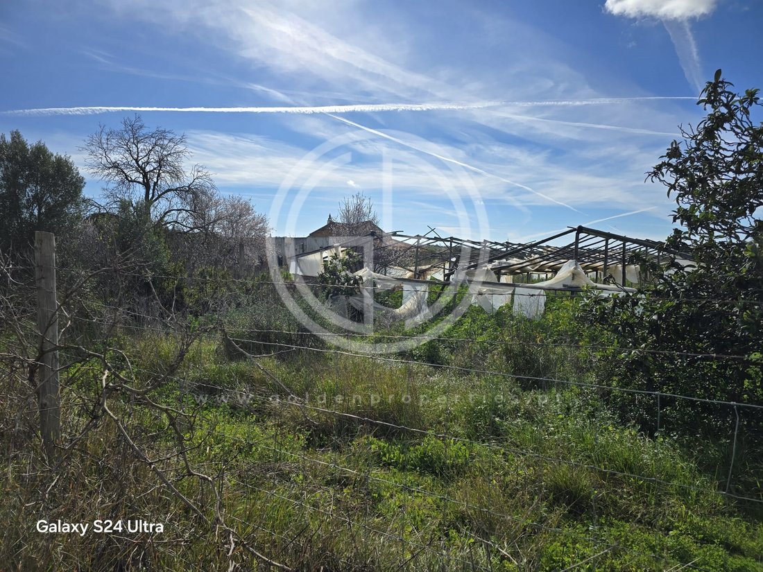 Land in Faro (Se e Sao Pedro), Algarve, Portugal 1 - 15365965
