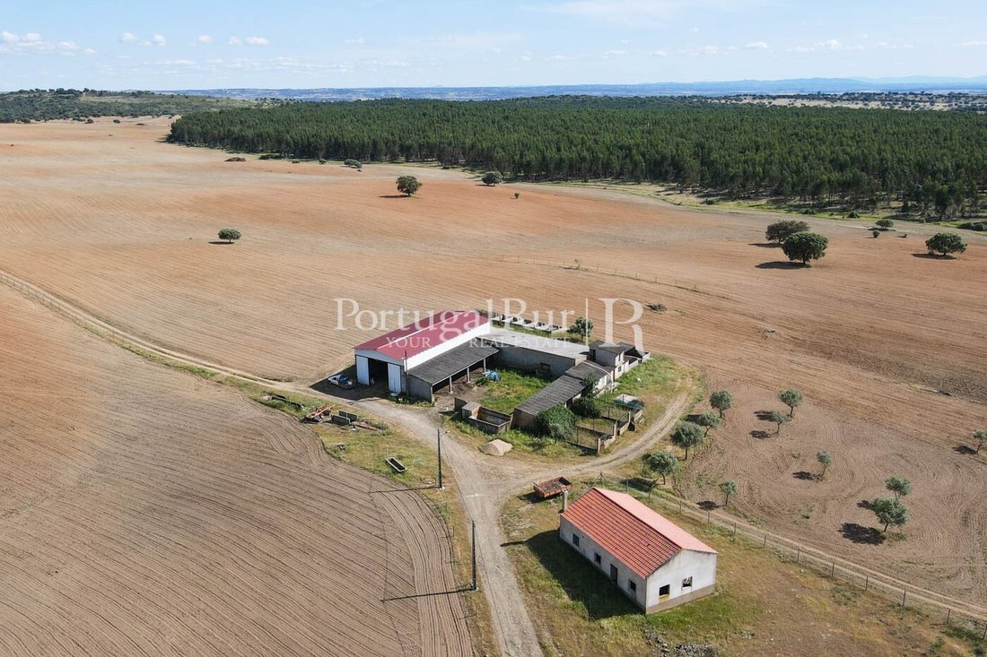 Estate in Idanha-a-Nova e Alcafozes, Castelo Branco District, Portugal 5 - 14876596