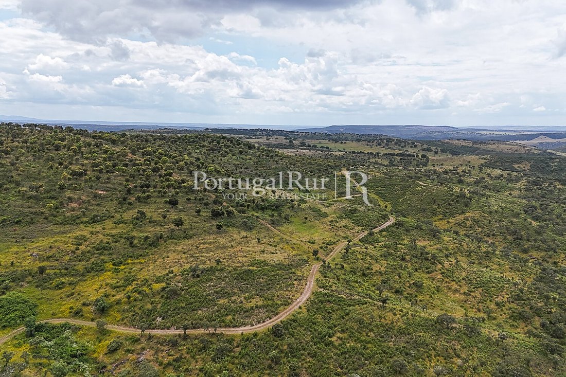 Land in Rosmaninhal, Castelo Branco District, Portugal 3 - 15763709