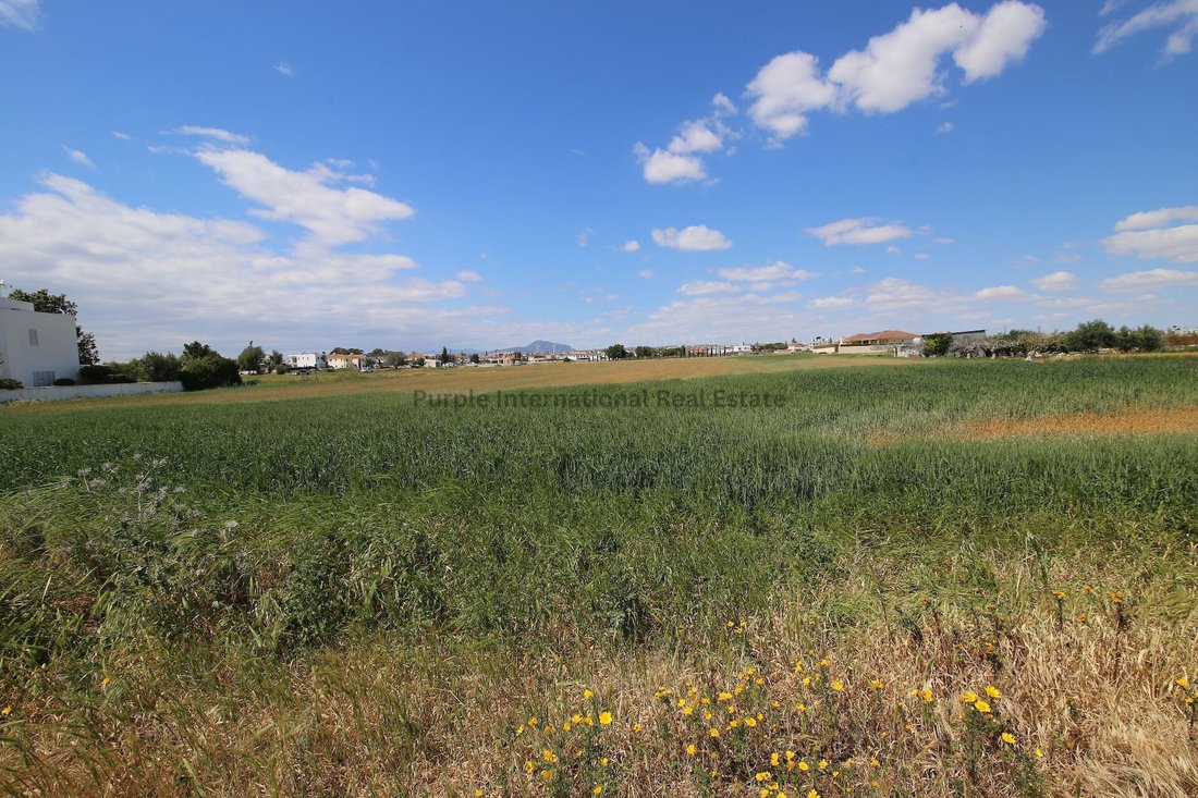 Land in Kiti, Larnaca, Cyprus 4 - 16711983