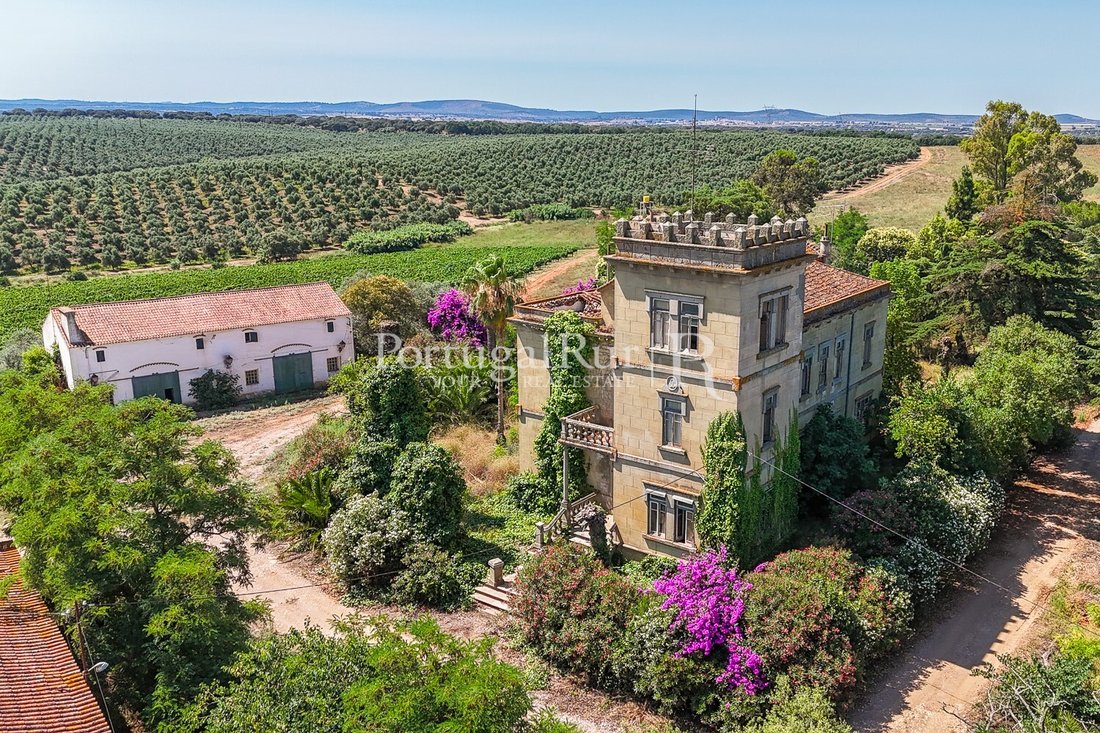 Finca in Sousel, Portalegre District, Portugal 2 - 14968414