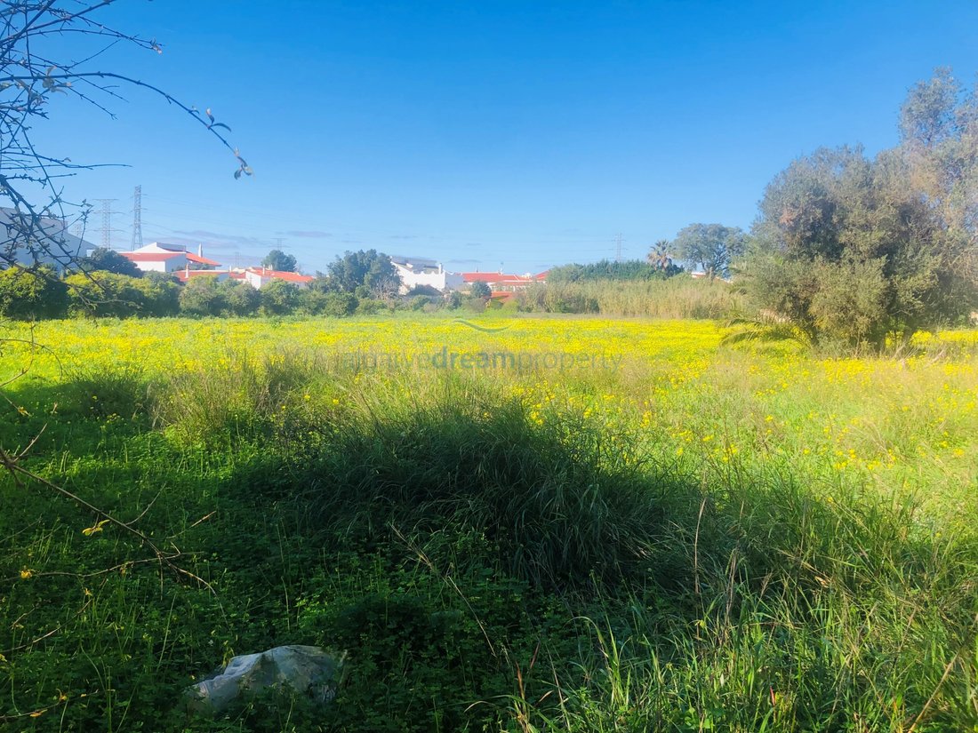 Land in Algoz e Tunes, Algarve, Portugal 5 - 13728399