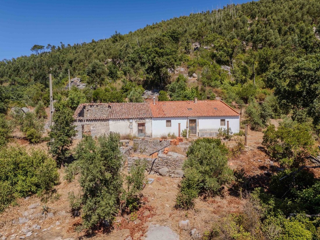 Finca in Monchique, Algarve, Portugal 1 - 16392642