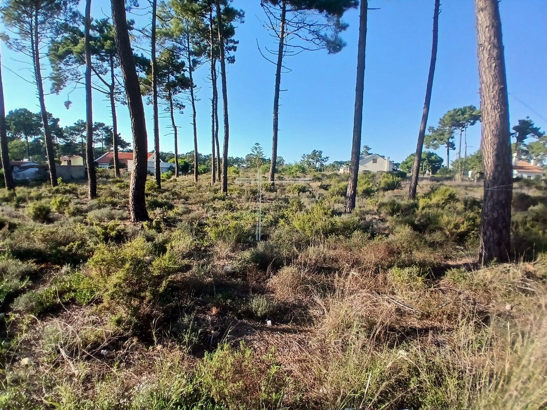 Land in Aroeira, Charneca de Caparica e Sobreda, Portugal 3 - 13039609