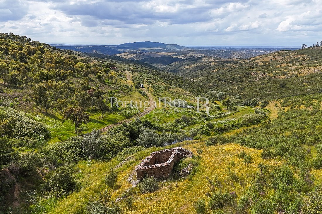 Land in Rosmaninhal, Castelo Branco District, Portugal 1 - 15763709