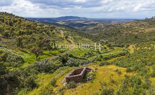 Terreno a Rosmaninhal, Distretto di Castelo Branco, Portogallo 1