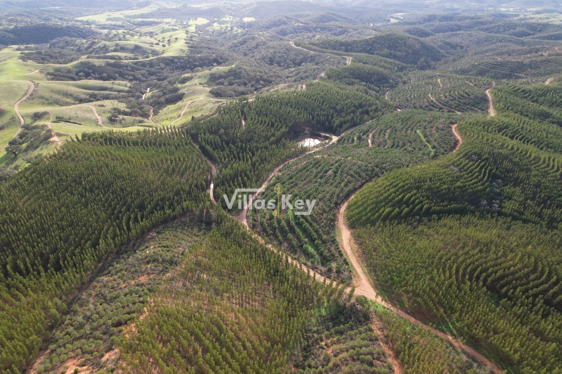 Estate in Sao Salvador e Santa Maria, Beja District, Portugal 2 - 12475667