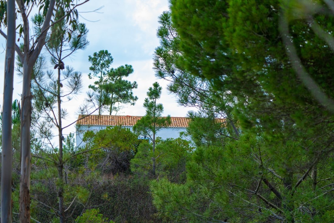 Finca in Aljezur, Algarve, Portugal 5 - 16392809