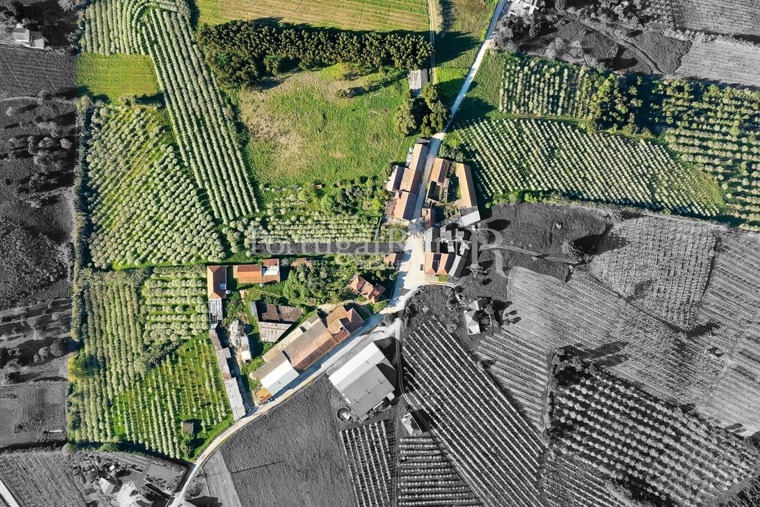 Finca à Carvalhal, Leiria, Portugal 4 - 14168343