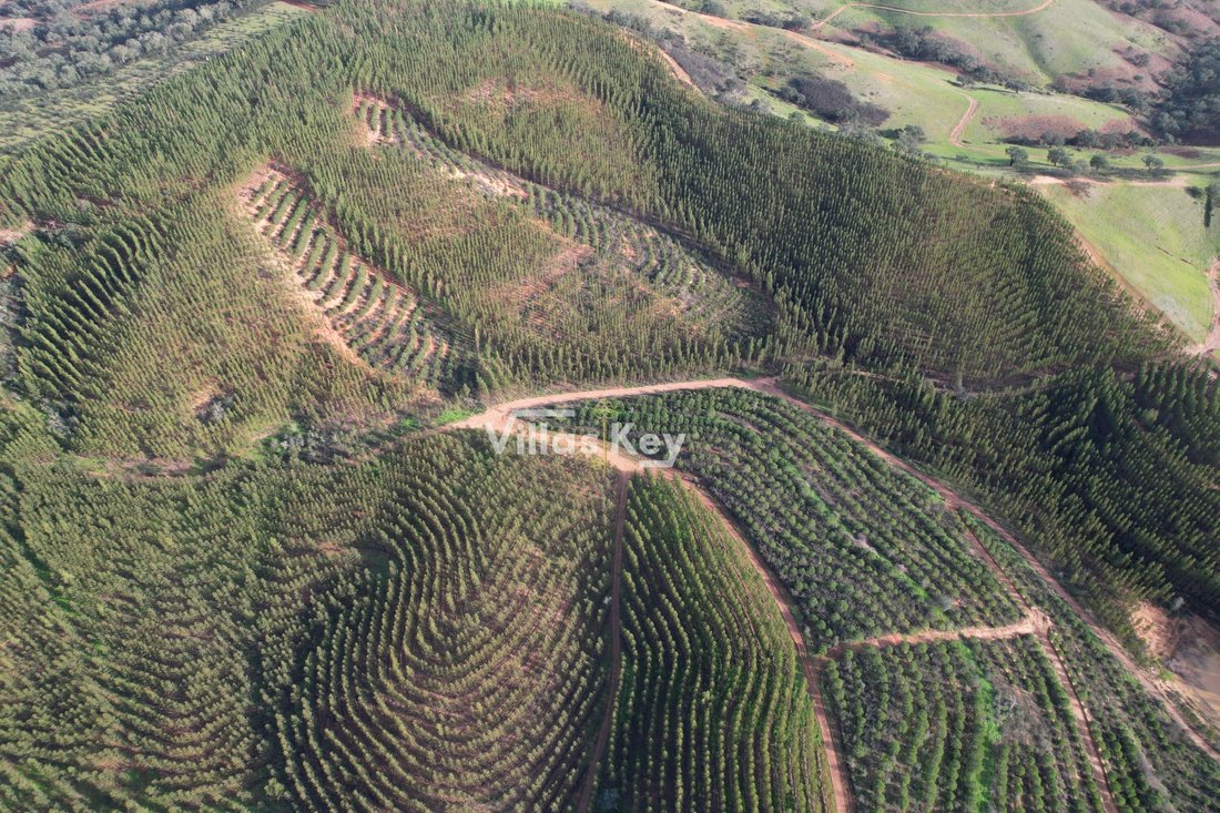 Estate in Sao Salvador e Santa Maria, Beja District, Portugal 4 - 12475667