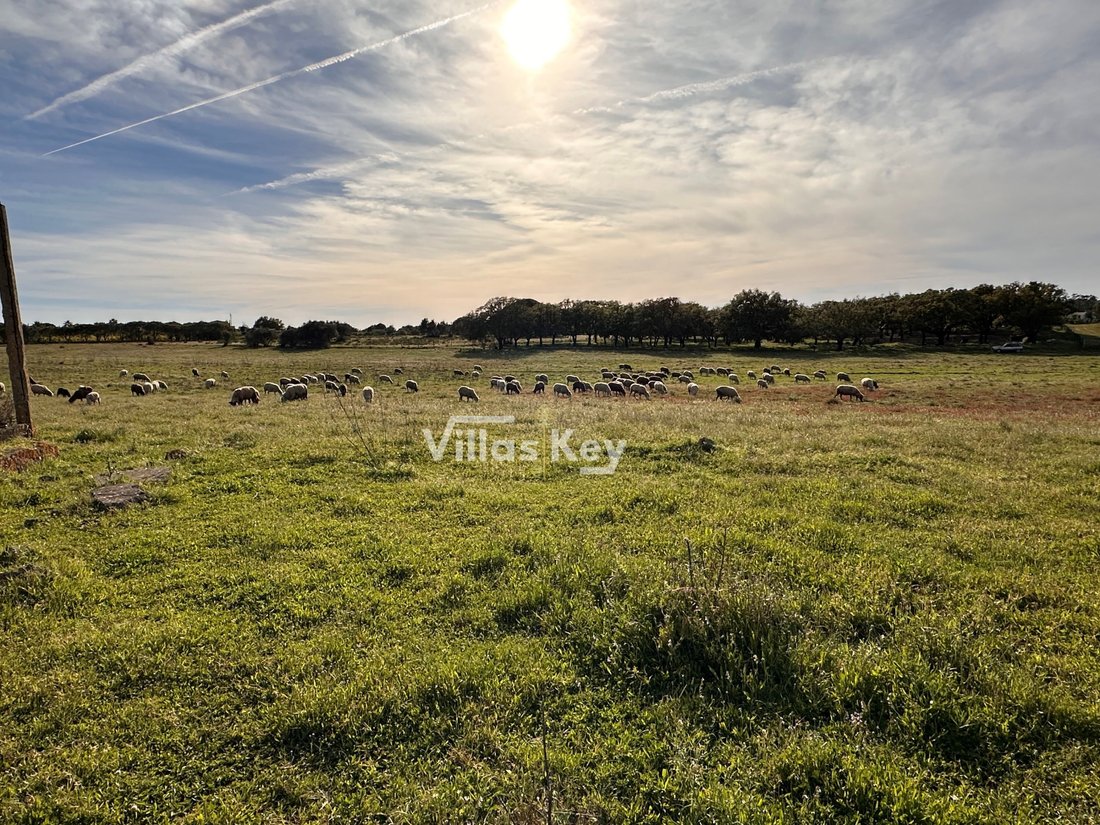 Land in Mexilhoeira Grande, Algarve, Portugal 5 - 15077507