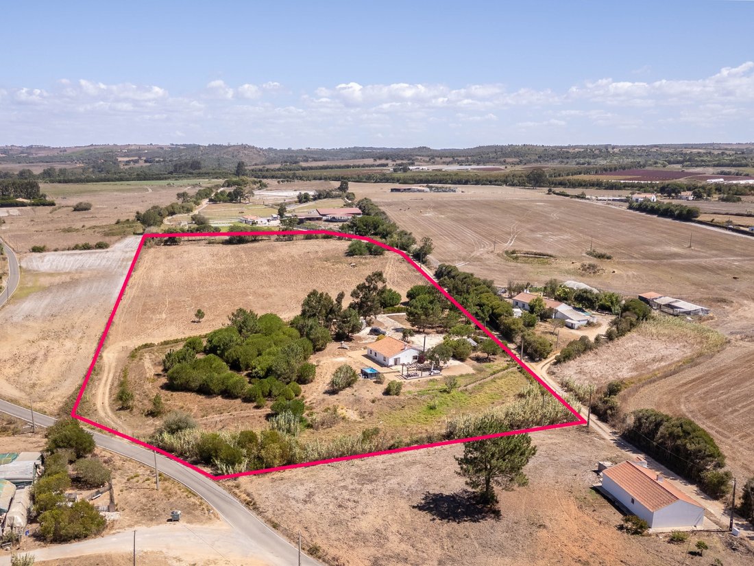 Finca in S.Teotónio, Beja District, Portugal 2 - 16392618