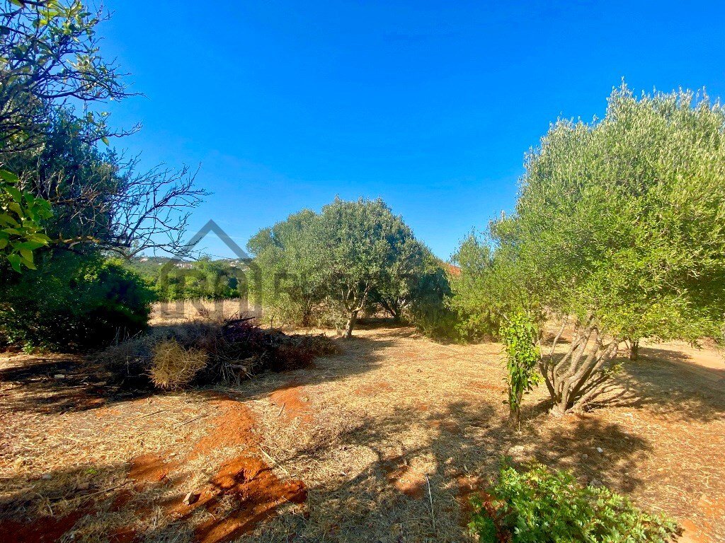 Land in Almancil, Algarve, Portugal 3 - 13032916