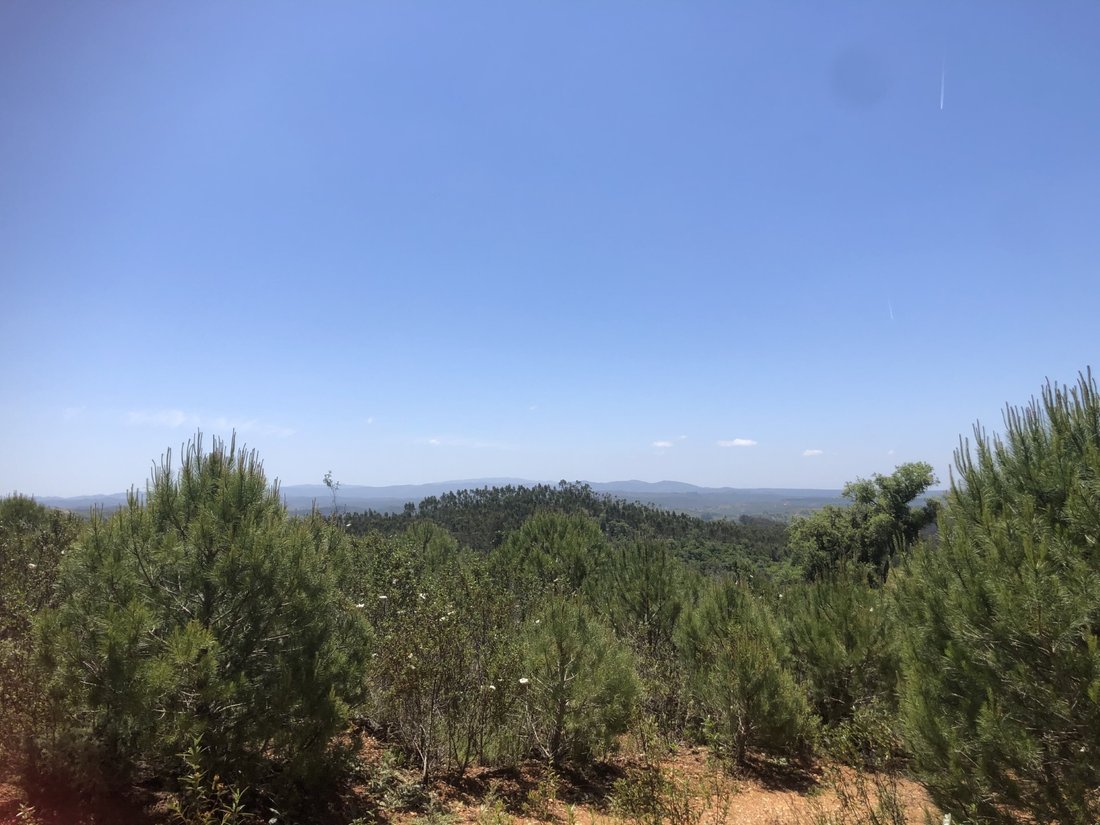 Land in Sao Salvador e Santa Maria, Beja District, Portugal 1 - 16392863