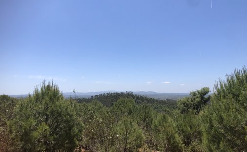 Land in Sao Salvador e Santa Maria, Beja District, Portugal 1