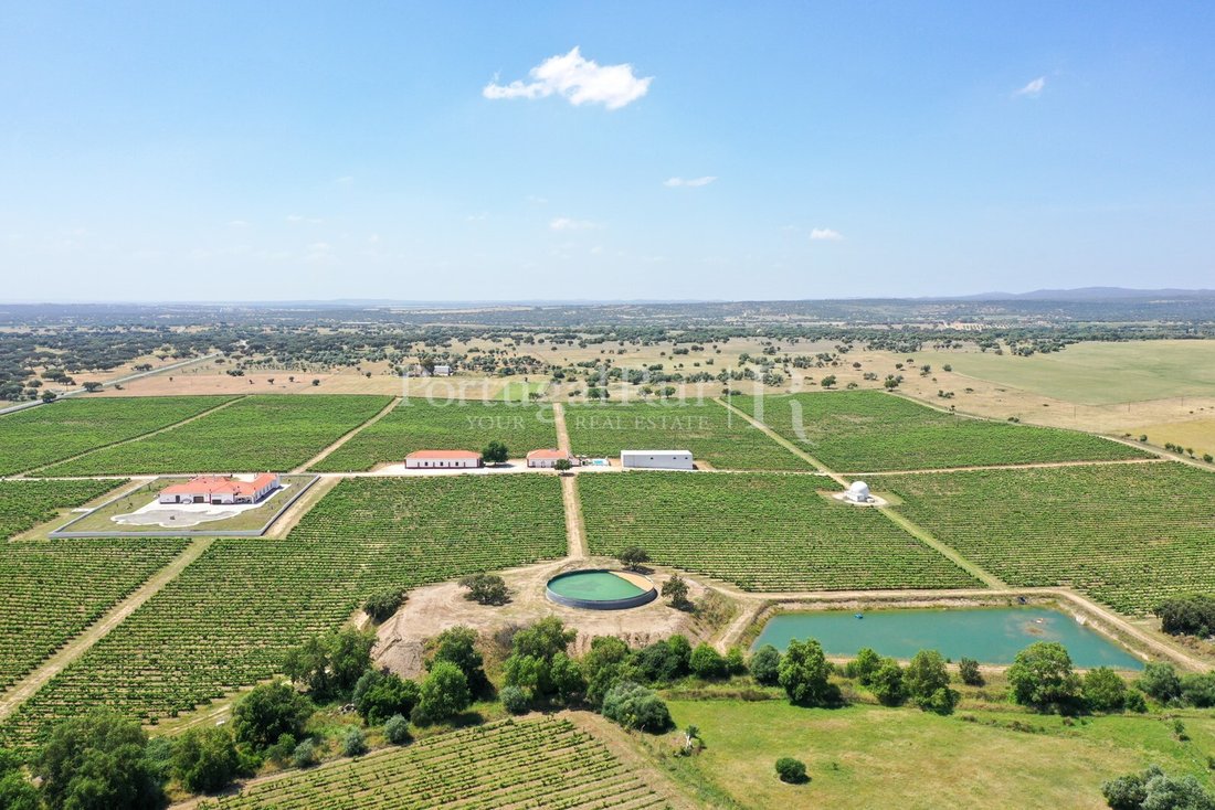 Estate in Corval, Évora District, Portugal 3 - 16517320
